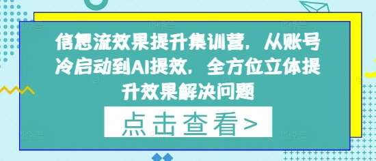 信息流效果提升集训营，从账号冷启动到AI提效，全方位立体提升效果解决问题-旺仔资源库