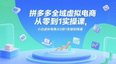 拼多多全域虚拟电商从零到1实操课，小白虚拟电商从0到1实操到精通-旺仔资源库