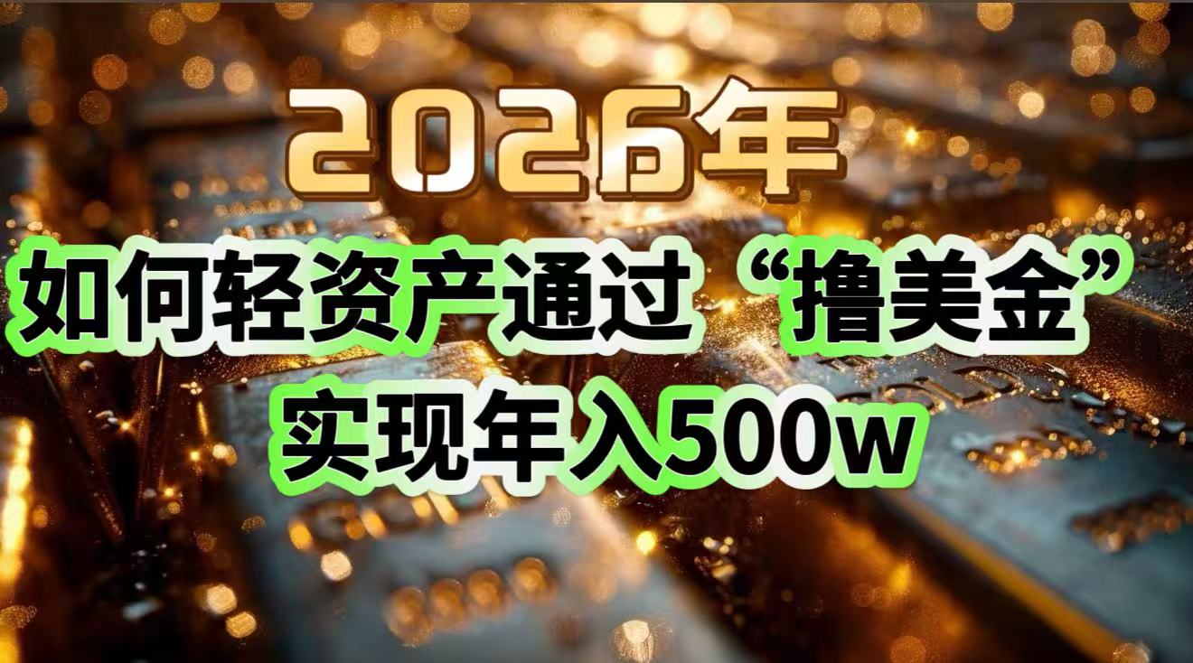 2026年如何轻资产通过“撸美金”实现年入500w-旺仔资源库