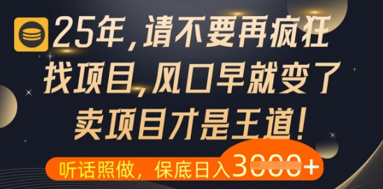 什么？25年你还在疯狂找项目做，醒醒吧，看完这些你全都懂了【揭秘】-旺仔资源库