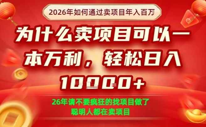 一单净利润1K+，26年想年入100个W，死磕卖项目就够了【揭秘】-旺仔资源库