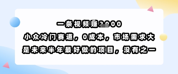 一条视频挣1k，小众冷门赛道，0成本，市场需求大，是未来半年最好做的项目，没有之一-旺仔资源库
