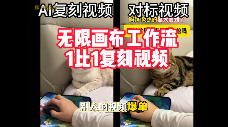 宠物带货视频复刻,无限画布工作流1比1,不用拍摄、不用布景、不用真人出镜,几分钟就能做出一条专业带货视频-旺仔资源库