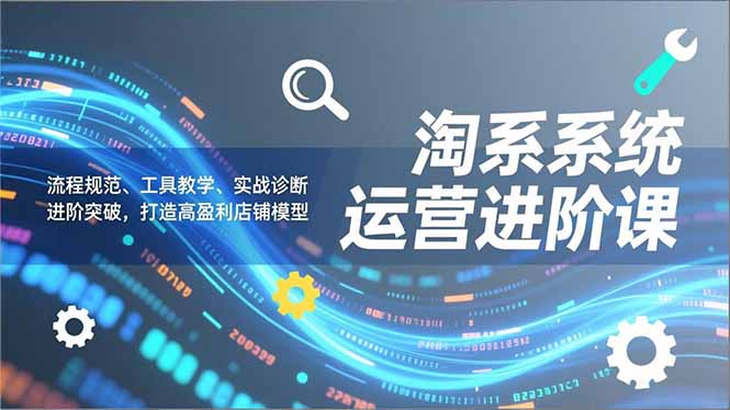 淘系系统运营进阶课2.0，流程规范、工具教学、实战诊断，进阶突破，打造高盈利店铺模型-旺仔资源库