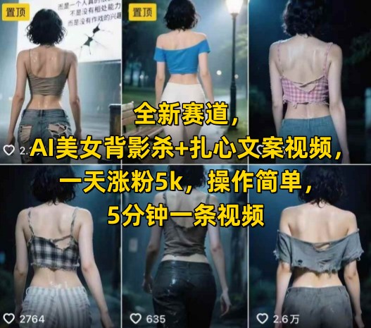 全新赛道，AI美女背影杀+扎心文案视频，一天涨粉5k，操作简单，5分钟一条视频-旺仔资源库