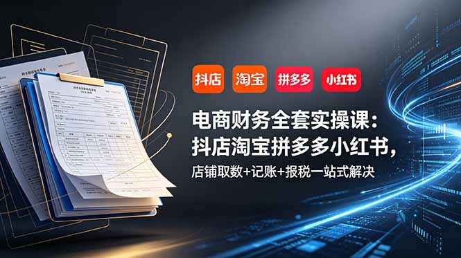 电商财务全套实操课:抖店淘宝拼多多小红书,店铺取数+记账+报税一站式解决-旺仔资源库