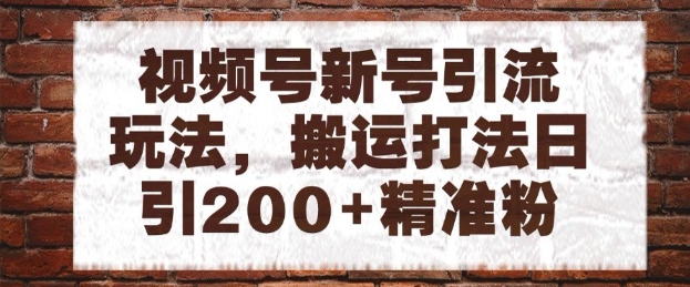 视频号新号引流玩法，搬运打法日引200+精准粉，可矩阵放大【揭秘】-旺仔资源库