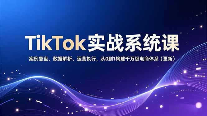 TikTok实战系统课，案例复盘、数据解析、运营执行，从0到1构建千万级电商体系(更新-旺仔资源库