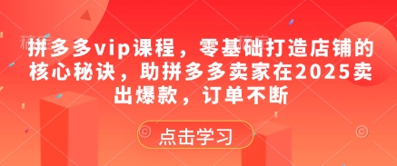 拼多多vip课程，零基础打造店铺的核心秘诀，助拼多多卖家在2025卖出爆款，订单不断-旺仔资源库