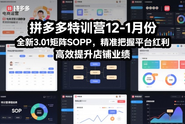 拼多多特训营12-1月份，全新3.01矩阵Sop，精准把握平台红利，高效提升店铺业绩-旺仔资源库