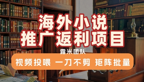 海外小说推广返利项目，视频投喂， 一刀不剪，矩阵批量-旺仔资源库