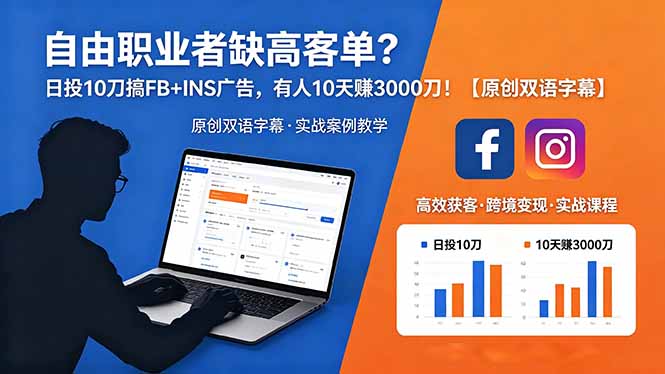 自由职业者缺高客单？日投 10 刀搞 FB+INS 广告，有人 10 天赚 3000 刀！【原创双语字幕】-旺仔资源库