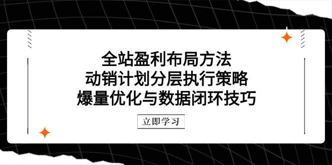 全站盈利布局方法：动销计划分层执行策略，爆量优化与数据闭环技巧-旺仔资源库