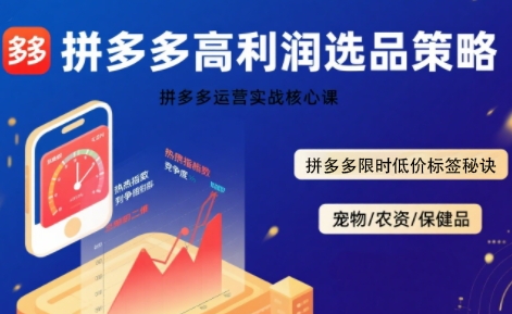 拼多多选品暴利技术实战课，拼多多高利润选品策略，拼多多限时低价标签秘诀-旺仔资源库