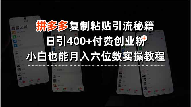 拼多多复制粘贴引流秘籍，日引400+付费创业粉，小白也能月入六位数实操…-旺仔资源库