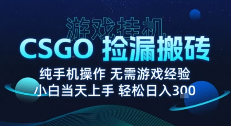 8月最新游戏搬砖，CSGO纯挂G，不需要玩游戏，实现真挂G，月入1W+【揭秘】-旺仔资源库
