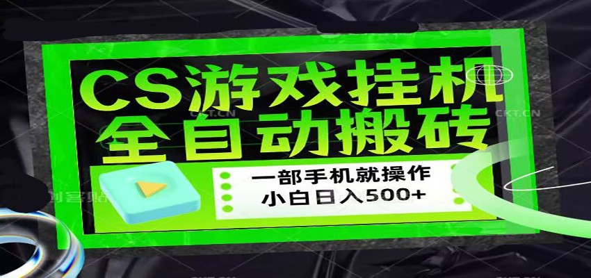 CSGO游戏挂机捡漏搬砖，超稳定的项目，带领1000+小白实现日入500+-旺仔资源库