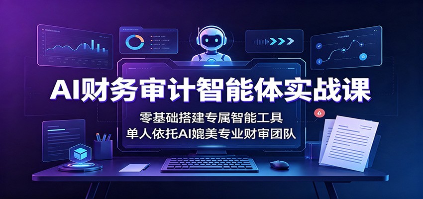 AI财务审计智能体实战课：零基础搭建专属智能工具，单人依托AI媲美专业财审团队-旺仔资源库
