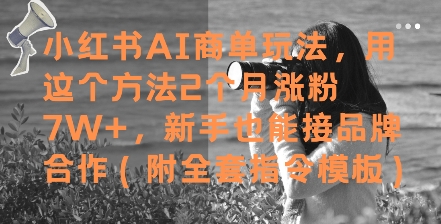 小红书AI商单玩法，用这个方法2个月涨粉7W+，新手也能接品牌合作(附全套指令模板)-旺仔资源库