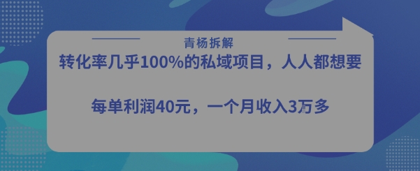 转化率最高的私域项目，每单利润40-50米，月入过1w-旺仔资源库