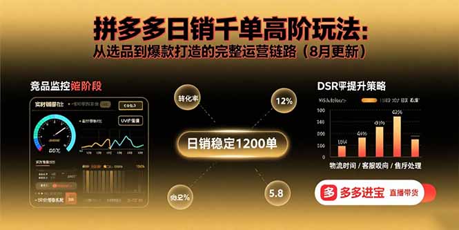 拼多多日销千单高阶玩法：从选品到爆款打造的完整运营链路(8月更新-旺仔资源库