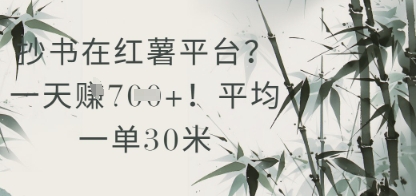 抄书在小红薯平台？平均一单30米，一天收益几张！-旺仔资源库