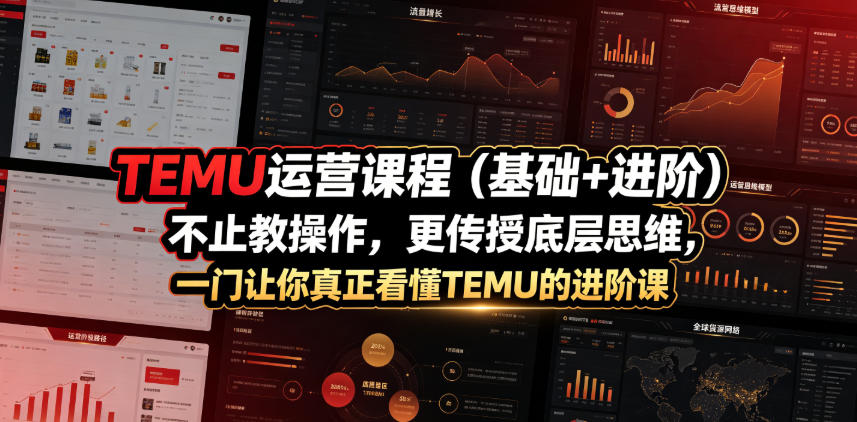TEMU运营课程(基础+进阶)，不止教操作，更传授底层思维，一门让你真正看懂TEMU的进阶课-旺仔资源库