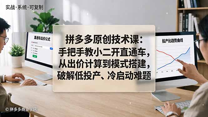 拼多多原创技术课：手把手教小二开直通车，从出价计算到模式搭建，破解低投产、冷启动难题-旺仔资源库