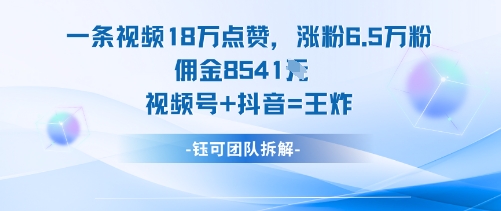 一条视频18W点赞，涨粉6.5W粉佣金8541米，视频号+抖音=王炸-旺仔资源库