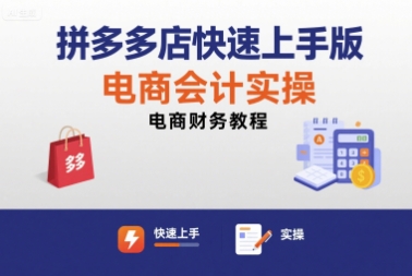 拼多多店快速上手版电商会计实操-电商财务教程-旺仔资源库