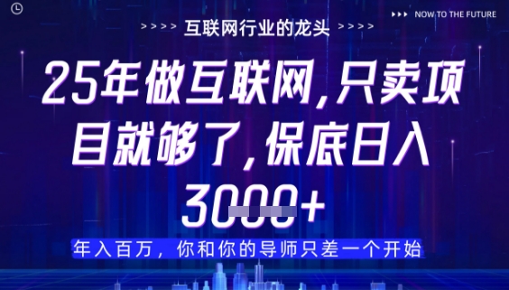 什么！25年你还在找项目做？风口早就变了，卖项目才是稳挣不赔【揭秘】-旺仔资源库
