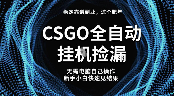 【稳定副业】全球最热门游戏CSGO全自动捡漏，最新玩法，新手小白日入5张+【揭秘】-旺仔资源库