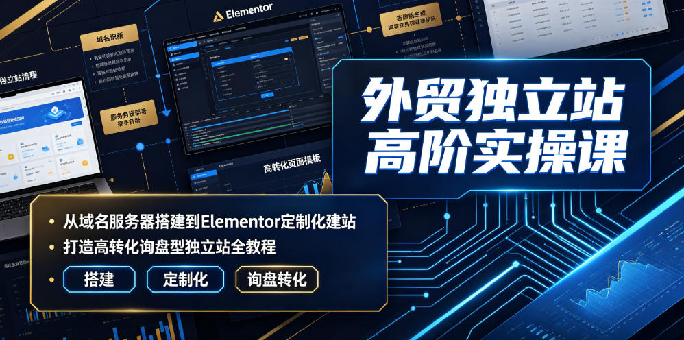 外贸独立站高阶实操课|从域名服务器搭建到Elementor定制化建站,打造高转化询盘型独立站全教程-旺仔资源库