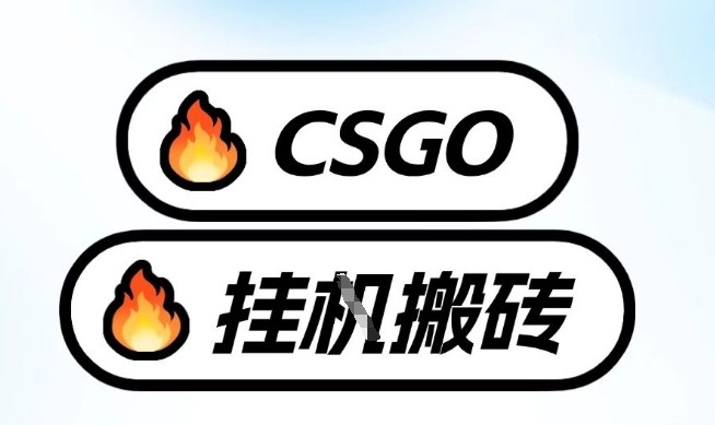 真全网独家CSGO挂G，最新玩法,单日捡漏1K+，不用电脑，不用打游戏【揭秘】-旺仔资源库