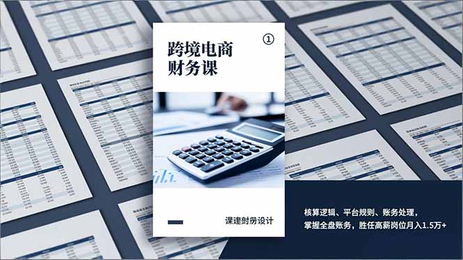跨境电商财务课，核算逻辑、平台规则、账务处理，掌握全盘账务，胜任高薪岗位月入1.5万+-旺仔资源库