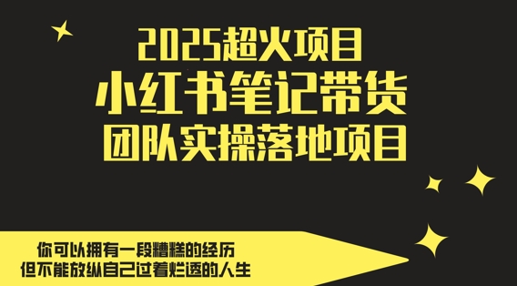 2025超火项目，副业最佳选择，小红书笔记带货团队实操落地项目，，轻松日入5张-旺仔资源库