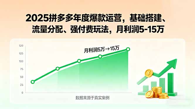 2025拼多多年度爆款运营，基础搭建、流量分配、强付费玩法，月利润5-15万-旺仔资源库