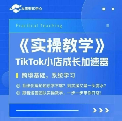 大卖家孵化中心TikTok实操课，TikTok小店成长加速器，跨境基础系统学习，一步一步带你开店-旺仔资源库