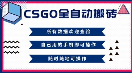 CSGO全自动搬砖,年底钱回家好项目,当天可拿到结果,新手小白轻松月入1W+【揭秘】-旺仔资源库