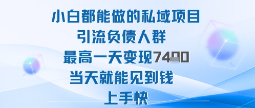 2025年小白都能做的私域项目引流负债人群最高一天变现1k+高变现难度低当天就能见到钱上手快-旺仔资源库