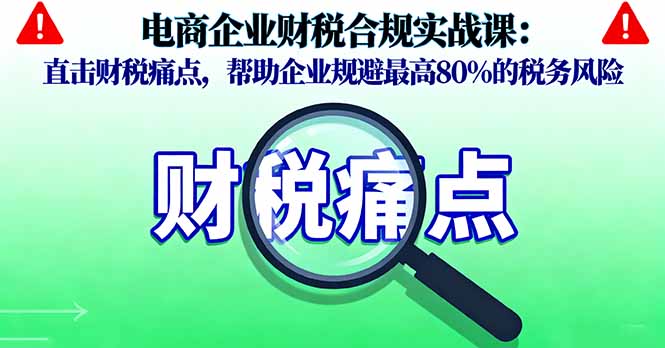 电商企业财税合规实战课，直击财税痛点，帮助企业规避最高80%的税务风险-旺仔资源库