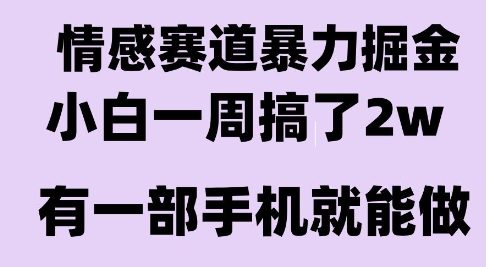 情感暴力掘金项目，新人操作一周挣了2W，长期稳定小白可做【揭秘】-旺仔资源库