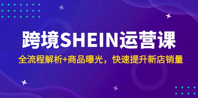 跨境SHEIN运营课，全流程解析+商品曝光，快速提升新店销量-旺仔资源库