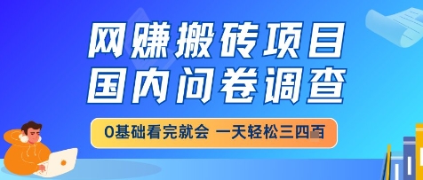 网创搬砖项目，国内问卷调查，小白轻松上手，一天三四张的也不难，干就完了【揭秘】-旺仔资源库