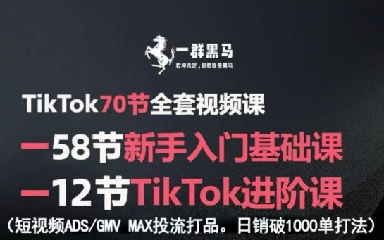 TikTok全套视频课，新手入门+进阶课，短视频ADS-GMV MAX投流打品，日销破1000单打法-旺仔资源库