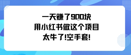 一天挣了9张用小红书做这个项目太牛了，空手套-旺仔资源库