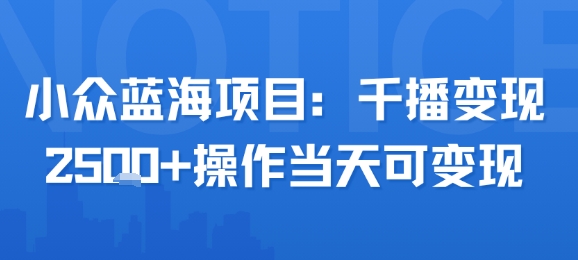 小众蓝海项目，千播变现2.5k+操作当天可变现-旺仔资源库