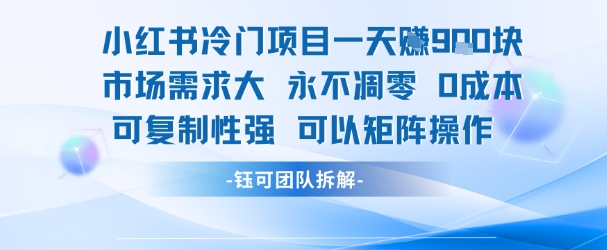 小红书冷门项目一天收益9张，市场需求大，0成本，可复制性强可以矩阵操作-旺仔资源库