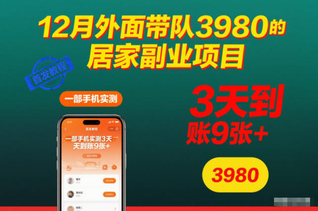 12月外面带队3980的居家副业项目,一部手机实测3天到账9张+,首发教程【揭秘】-旺仔资源库