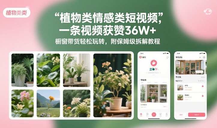 植物类情感类短视频，一条视频获赞36W+，橱窗带货轻松玩转，附保姆级拆解教程-旺仔资源库